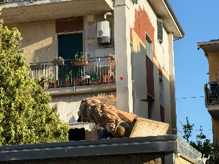 Blitz a Porto d’Ascoli, Sap chiede rinforzi: "Inquietante alleanza ’Ndrangheta-albanesi"